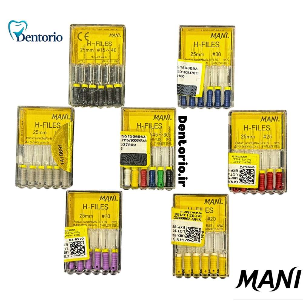 اچ فایل دستی مانی H File Mani